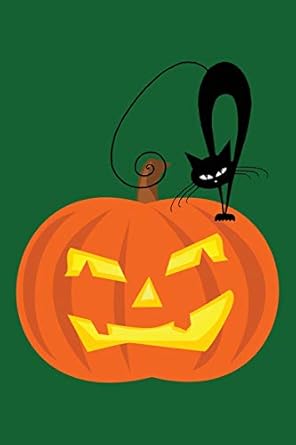 sketchbook black cat on a halloween pumpkin 6x9 blank journal with no lines journal notebook with unlined