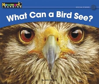 what can a bird see 1st edition john serrano 1607193205, 978-1607193203
