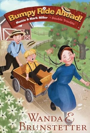 bumpy ride ahead 1st edition wanda e brunstetter ,colleen madden 1616267909, 978-1616267902