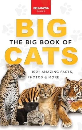 the big book of big cats 100+ amazing facts about lions tigers leopards snow leopards and jaguars 1st edition