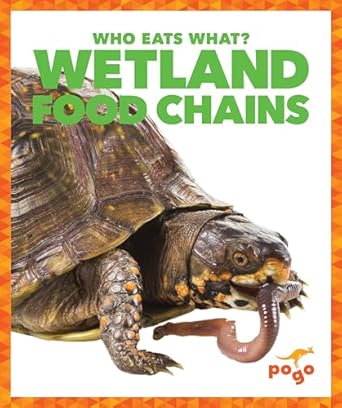wetlands food chains 1st edition rebecca pettiford 1620313057, 978-1620313053