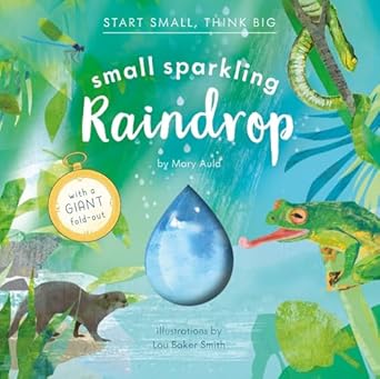 small sparkling raindrop 1st edition mary auld ,lou baker smith 1636551432, 978-1636551432