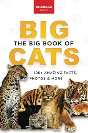 the big book of big cats 100+ amazing facts about lions tigers leopards snow leopards and jaguars 1st edition