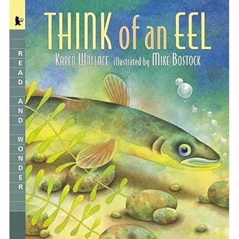 think of an eel 1st edition karen wallace ,mike bostock 1564021807, 978-1564021809