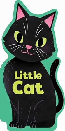 little cat 1st edition maggie fischer ,yi hsuan wu 1667206508, 978-1667206509