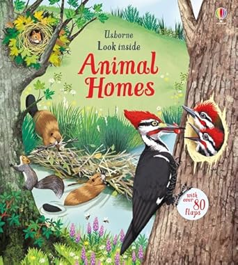 look inside animal homes 1st edition emily bone ,maribel lechuga 1805318535, 978-1805318538