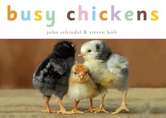 busy chickens 1st edition john schindel ,steven holt 1582462755, 978-1582462752