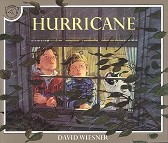hurricane 1st edition david wiesner 0395629748, 978-0395629741