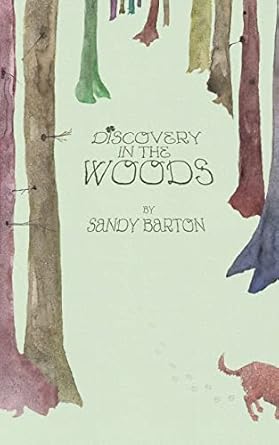 discovery in the woods a st patricks day surprise 1st edition sandy barton 1490911499, 978-1490911496