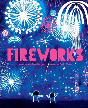 fireworks a sizzling picture book about summer in the city a perfect fourth of july read 1st edition matthew