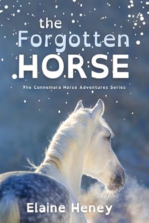 the forgotten horse dyslexia friendly 1st edition elaine heney 1917234171, 978-1917234177