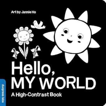 hello my world a perfect book for parents and caregivers home with babies this summer 1st edition duopress