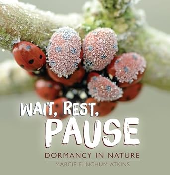 wait rest pause dormancy in nature 1st edition marcie flinchum atkins 1728477719, 978-1728477718