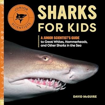 sharks for kids a junior scientists guide to great whites hammerheads and other sharks in the sea 1st edition