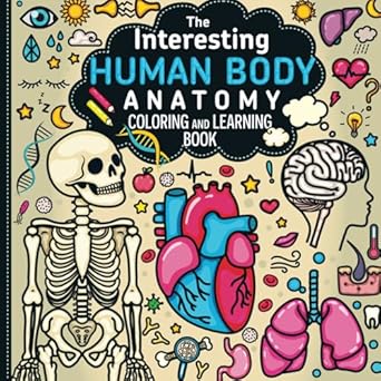 the interesting human body anatomy coloring and learning book 1st edition gunita reine 9934383039,