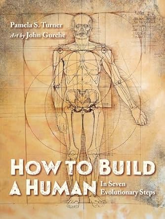 how to build a human in seven evolutionary steps 1st edition pamela s turner ,john gurche 1623542502,