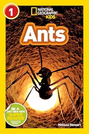 ants 1st edition melissa stewart 1426306083, 978-1426306082