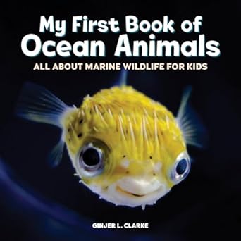 my first book of ocean animals all about marine wildlife for kids 1st edition ginjer l clarke 1648767958,