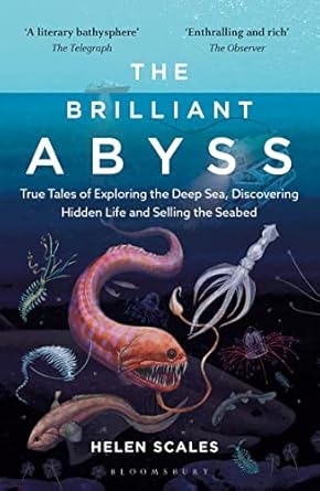the brilliant abyss true tales of exploring the deep sea discovering hidden life and selling the seabed 1st