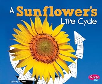 a sunflowers life cycle 1st edition mary r dunn 1515770567, 978-1515770565
