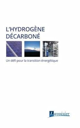 lhydrogene decarbone un defi pour la transition energetique 1st edition edf 2743024771, 978-2743024772