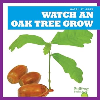watch an oak tree grow 1st edition kirsten chang 1641282711, 978-1641282710