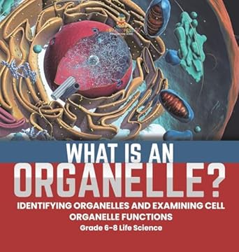 what is an organelle identifying organelles and examining cell organelle functions grade 6 8 life science 1st