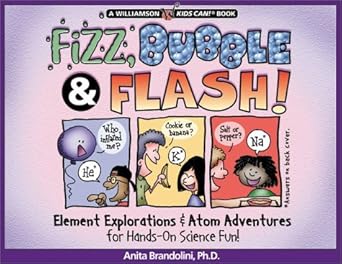fizz bubble and flash 1st edition anita brandolini 188559383x, 978-1885593832