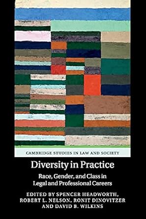 diversity in practice race gender and class in legal and professional careers 1st edition spencer headworth