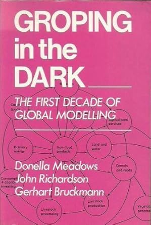 groping in the dark the first decade of global modelling 1st edition donella meadows ,john richardson