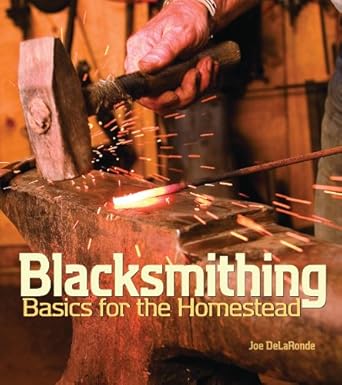 blacksmithing basics for the homestead 1st edition joe delaronde 1586857061, 978-1586857066