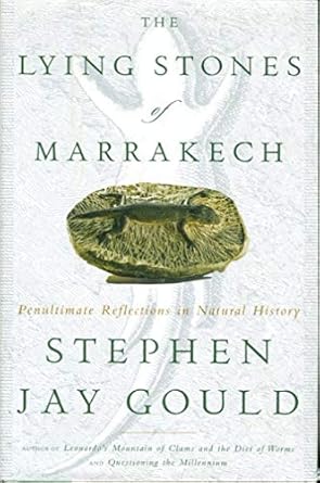 the lying stones of marrakech penultimate reflections in natural history 1st edition stephen jay gould