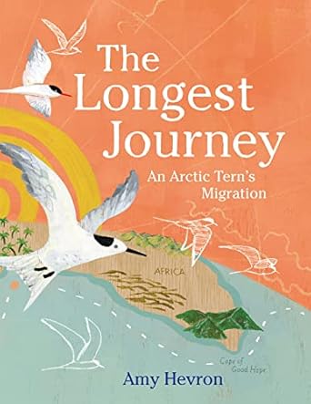 the longest journey an arctic terns migration 1st edition amy hevron 0823447006, 978-0823447008