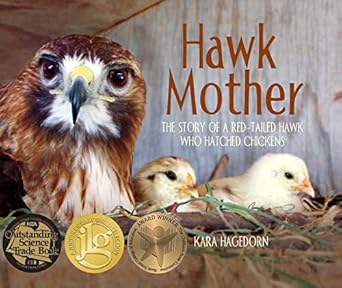 hawk mother the story of a red tailed hawk who hatched chickens 1st edition kara hagedorn 0988330377,