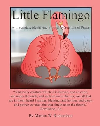 little flamingo identifying biblical expressions of praise 1st edition marion w richardson 153052945x,