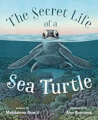 the secret life of a sea turtle 1st edition maddalena bearzi ,alex boersma 1250901677, 978-1250901675