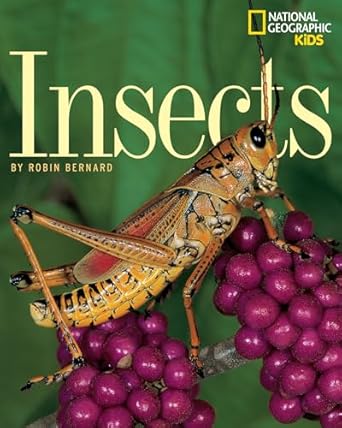 insects 1st edition robin bernard 0792266706, 978-0792266709