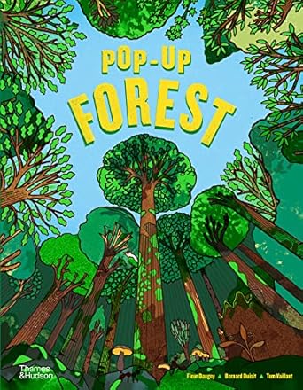 pop up forest 1st edition fleur daugey ,bernard duisittom vaillant 0500653089, 978-0500653081
