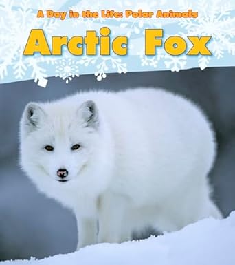 arctic fox 1st edition katie marsico 1432953362, 978-1432953362