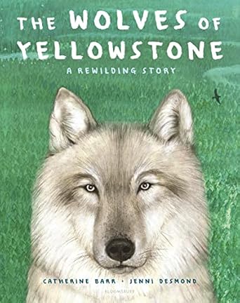 the wolves of yellowstone a rewilding story 1st edition catherine barr 154760798x, 978-1547607983