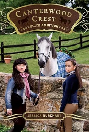 elite ambition 1st edition jessica burkhart 1442403829, 978-1442403826