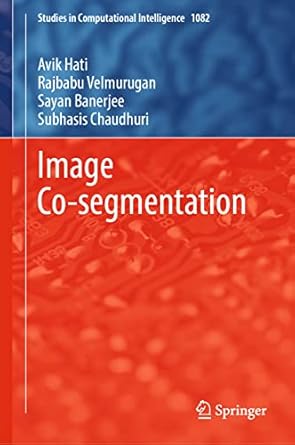 image co segmentation 1st edition avik hati ,rajbabu velmurugan ,sayan banerjee ,subhasis chaudhuri