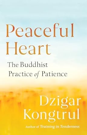 peaceful heart the buddhist practice of patience 1st edition dzigar kongtrul ,joseph waxman ,pema chodron