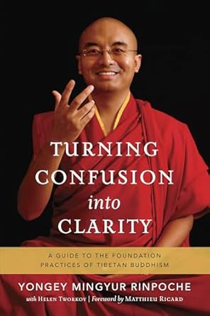 turning confusion into clarity a guide to the foundation practices of tibetan buddhism 1st edition yongey
