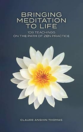 bringing meditation to life 108 teachings on the path of zen practice 1st edition claude anshin thomas