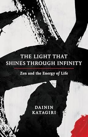 the light that shines through infinity zen and the energy of life 1st edition dainin katagiri ,andrea martin
