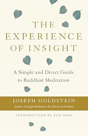 the experience of insight a simple and direct guide to buddhist meditation 1st edition joseph goldstein