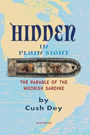 hidden in plain sight 1st edition cush dey 1952828384, 978-1952828386