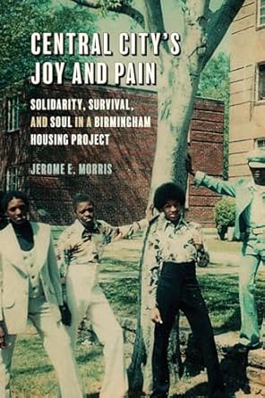 central citys joy and pain solidarity survival and soul in a birmingham housing project 1st edition jerome e