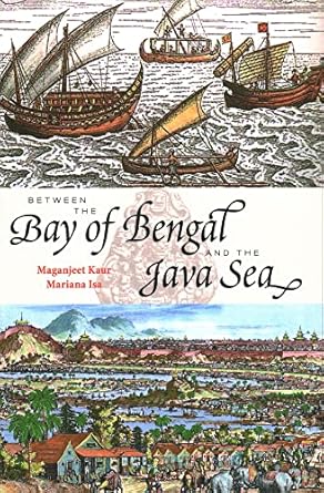 between the bay of bengal and the java sea trade routes ancient ports and cultural commonalities in southeast